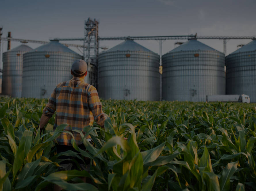 The latest USDA World Agricultural Supply and Demand Estimates (WASDE) report reveals some fascinating trends in corn production that have significant implications for sustainable agriculture and biomass utilization. With the 2024 harvest projected to be the third largest in U.S. history and record-breaking yields in several Midwest states, we're seeing unprecedented opportunities to advance sustainable farming practices – particularly in the realm of corn stover management.